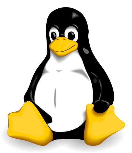Linux & WSL